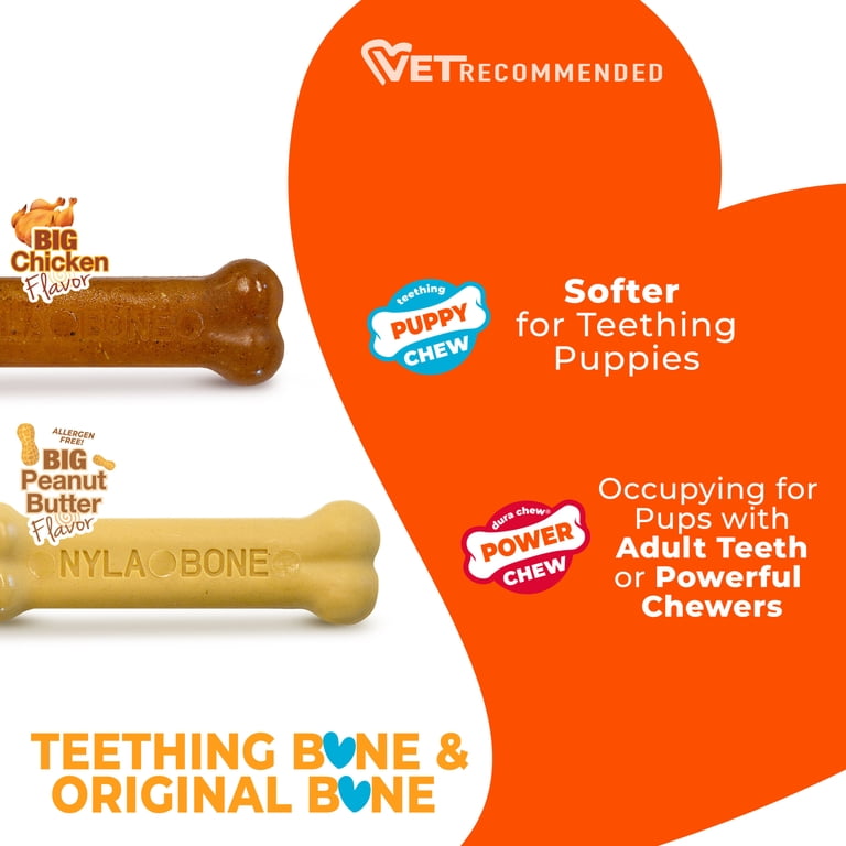 Nylabone Puppy Chew Teething Bone, 2 Pack photo 4