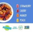 thumbnail image 6 of YumEarth, Gluten Free Gummy Bears, Strawberry, Cherry, Mango, Peach, 10 Snack Packs, 0.7 oz ea  Pack of 3, 6 of 7
