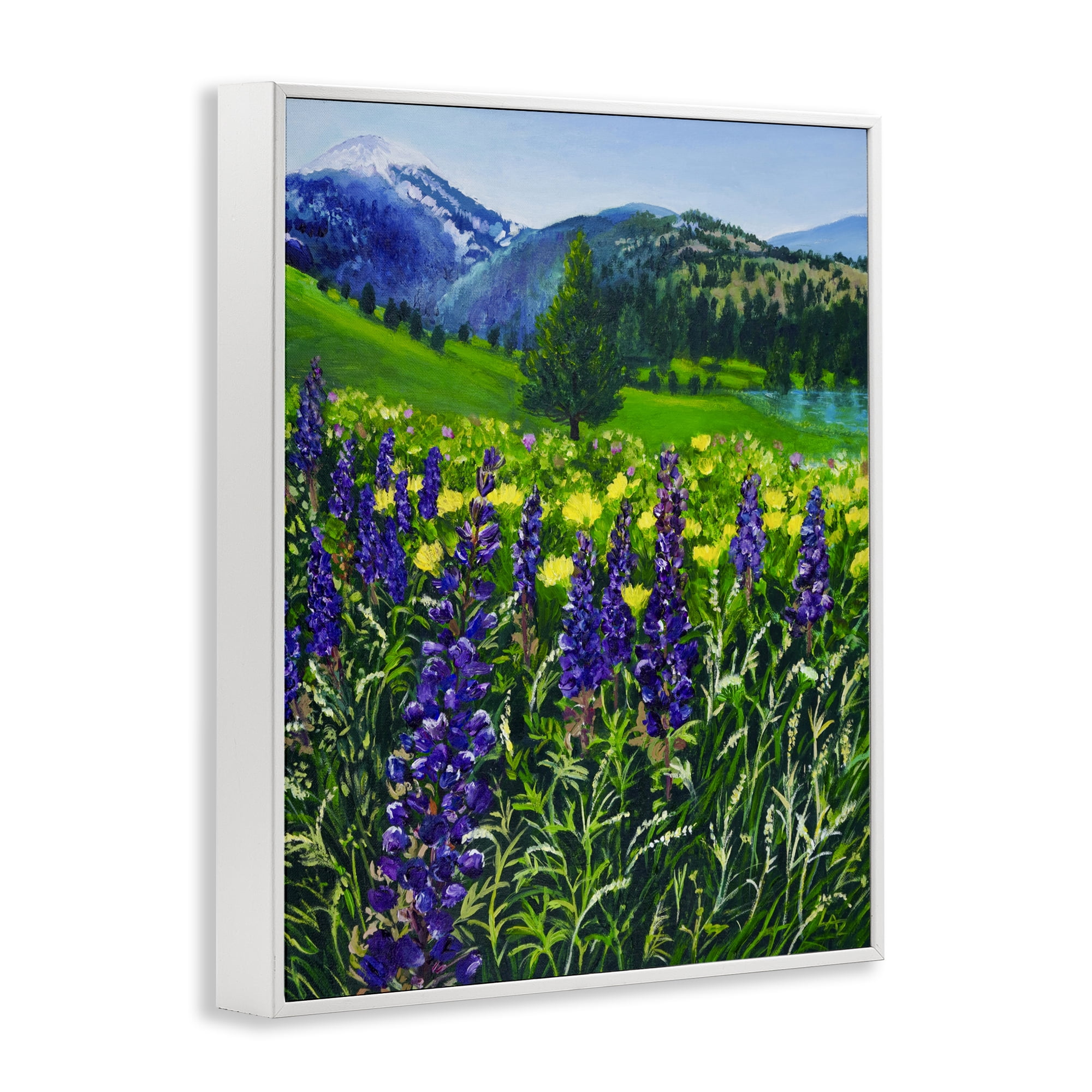 Stupell Industries Flower Speckled Valley White Framed Giclee Art, design by Lee Ann Zirbes