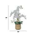 thumbnail image 4 of 30" White Orchid Arrangement in a Large Tan Ceramic Planter | Real Touch White Moth Phalaenopsis Orchids by Fiori Sempre, 4 of 6