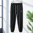 thumbnail image 4 of Pantalones deportivos para hombre, pantalones de chándal de verano para hombre, pantalones lisos, finos, elegantes, vintage, elásticos, originales, baratos, precio coreano Y2k, 4 of 4