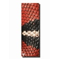 thumbnail image 2 of Yune Yoga - The Snake 5mm PER Yoga Mat, 2 of 5