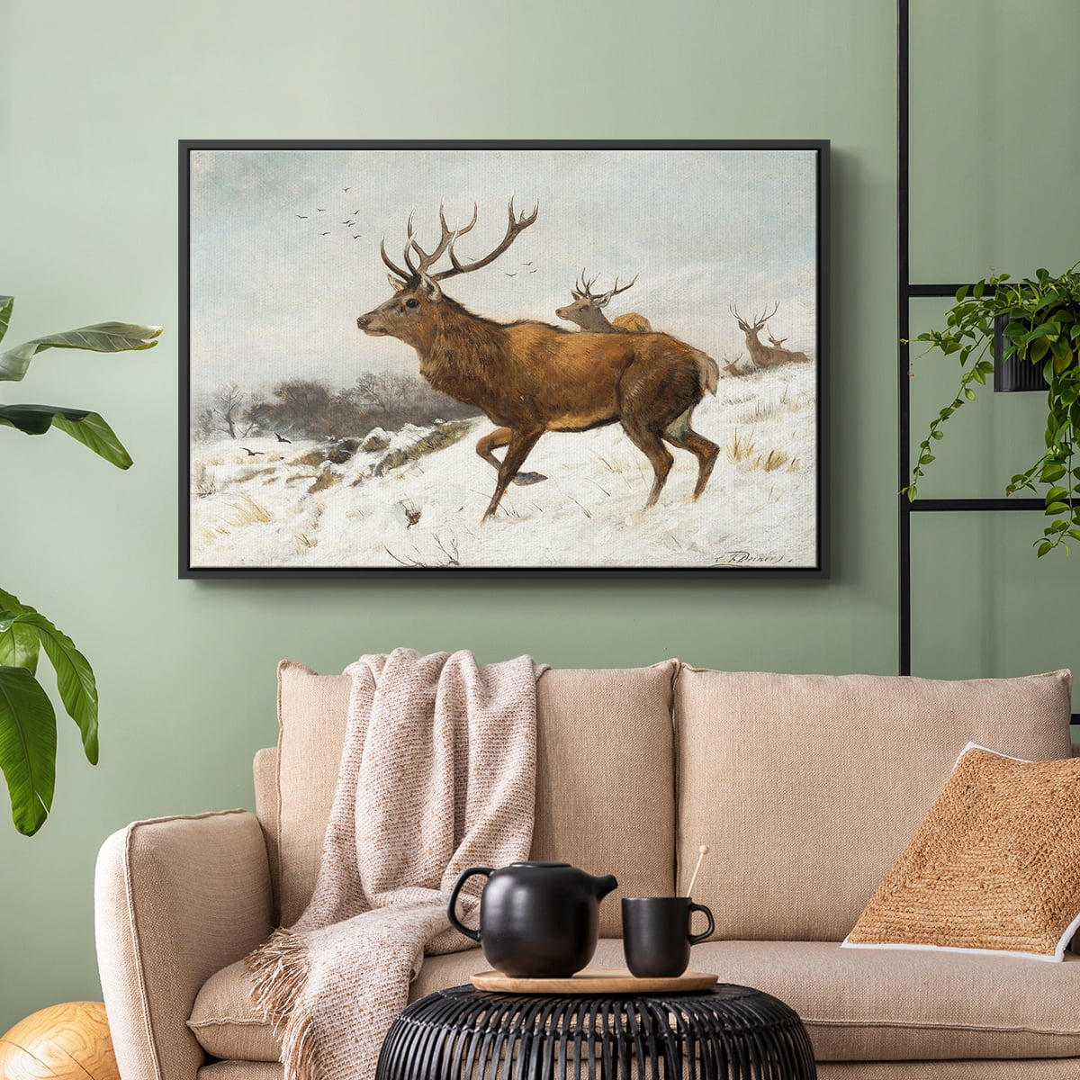 Vintage Animal Print-V By Wexford Home Framed in Black Wood Gallery Wrapped Canvas 27 in. x 41 in.