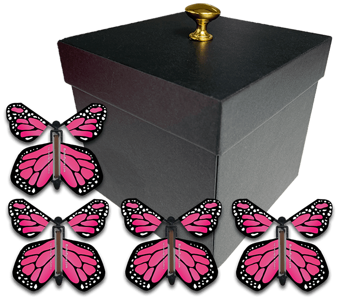 Black Exploding Butterfly Box With Gender Reveal Flying Butterflies