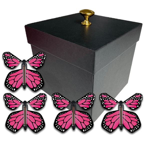 Flying Butterfly Gift Box