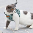 thumbnail image 3 of LSLJS traction Rope Chest Overlap Vest Style Clothes Anti-Stroke, Puppy Harness, Dog Harness, 3 of 9