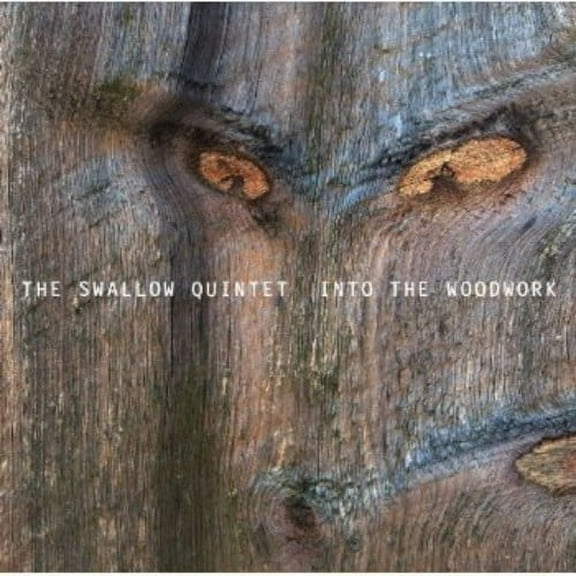 Steve Swallow - In the Woodwork - Jazz - CD