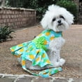 thumbnail image 2 of Pineapple Luau Dog Harness Dress with Leash by Doggie Design, 2 of 3
