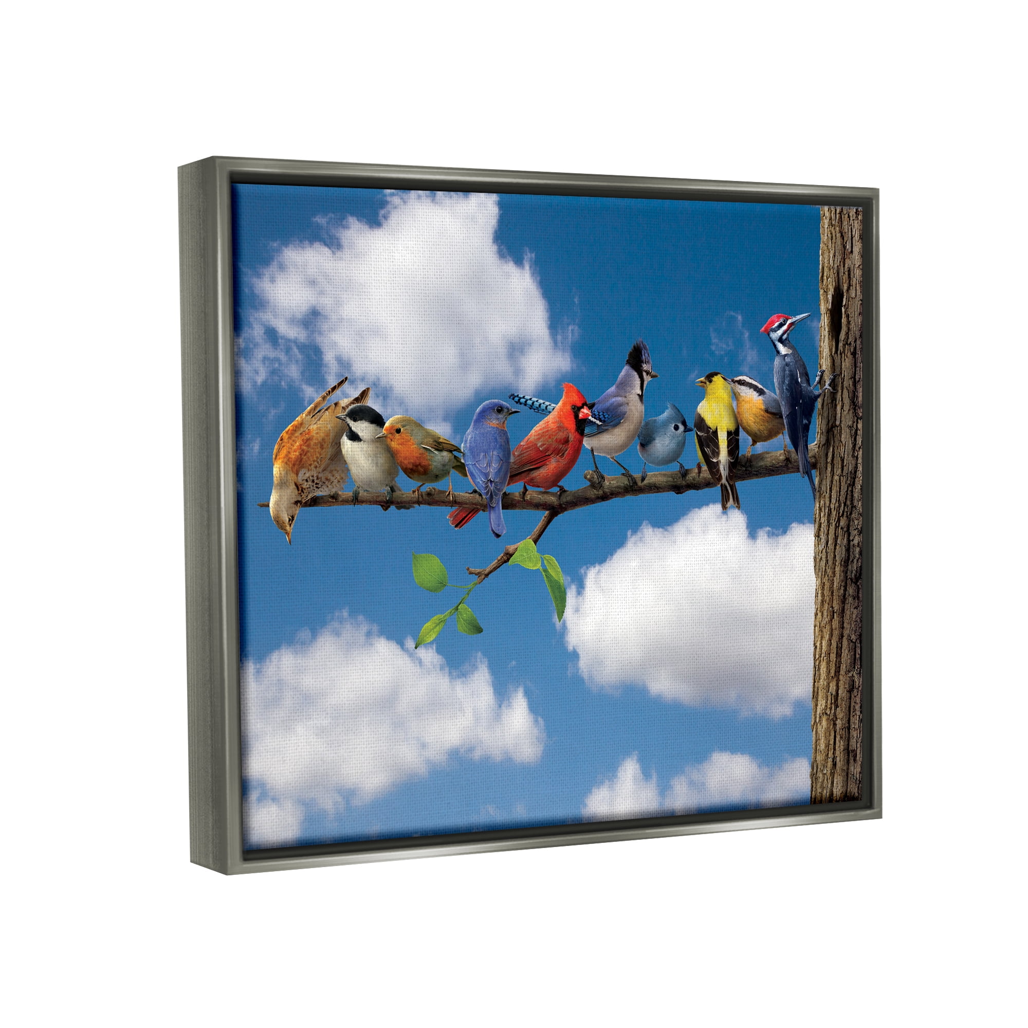 Stupell Industries Various Birds on Branch Animals & Insects Painting Gray Floater Framed Canvas Art Print Wall Art, 31 x 25