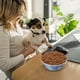 thumbnail image 4 of Stainless Steel Dog Bowl Bowl And DropFeeding Device, 4 of 4