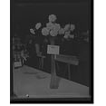 thumbnail image 2 of Historic Framed Print, [Detroit, Mich., American Carnation Society Exhibition, 1st prize, J.B. Valentine], 17-7/8" x 21-7/8", 2 of 9