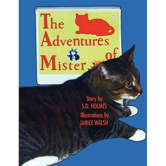 The Adventures of Mister, (Paperback)