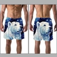 thumbnail image 3 of luoweisi Men's Beach Shorts Quick Dry Swim Trunks with Mesh Lining Galaxy Polar Bear 2XL, 3 of 5
