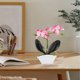 thumbnail image 2 of Mini orquídea mesa planta ornamento planta en maceta artificial para baño cocina, 2 of 8