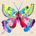thumbnail image 3 of Ritter, Gina 20x20 Black Modern Framed Museum Art Print Titled - Brilliant Butterfly I, 3 of 5