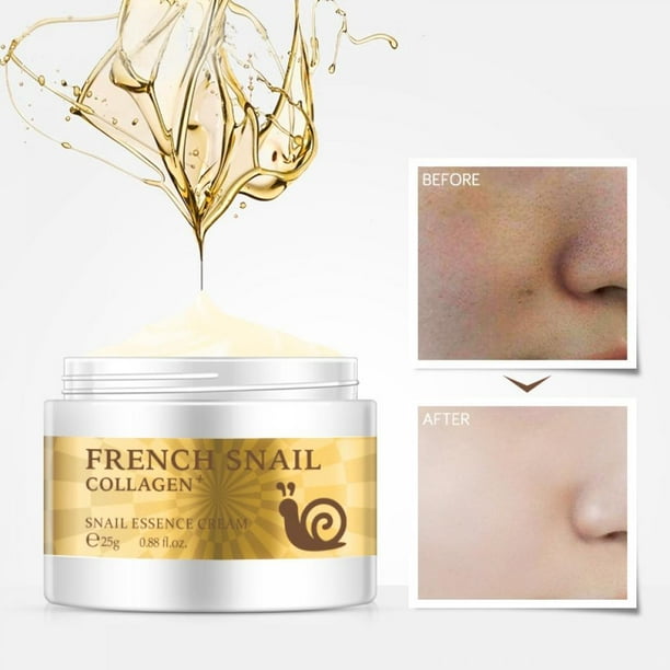 Snail Extract AntiAgeing FaceCream Concentrate for Day & Night Anti
