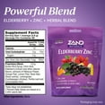 thumbnail image 2 of Zand HerbaLozenge Elderberry Zinc Lozenges for Dry Throats, No Artificial Sweeteners, No Corn Syrup, No Cane Sugar (80 Count), 2 of 6