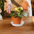thumbnail image 5 of OULII 12Pcs Coffee Color Plastic Plant Drip Trays for Indoor Flower Pots with Stable Base Design, 5 of 5