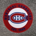 thumbnail image 5 of NHL, NBA, MLB Grey Sports Throw Blanket, 50" x 60", 5 of 5