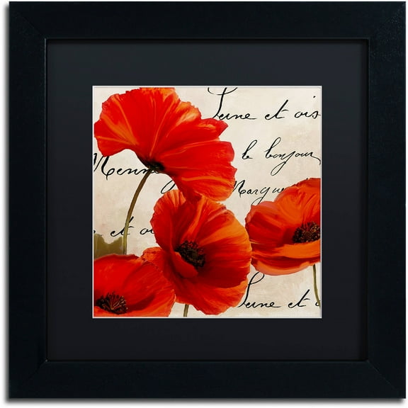 Trademark Fine Art "Coquelicots Rouge I" Canvas Art by Color Bakery Black Matte, Black Frame