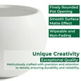 thumbnail image 4 of 15.8" D x 10.9" H Fiberstone Sphere Planter, White, 11.8" Pot Opening, Ball Shape Flower Pot with Drainage Hole, Weather Resistance Indoor Outdoor Use, 4 of 7