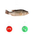 thumbnail image 2 of Camisetas de pescado con eslogan gráfico divertido y moderno: "Fih llamando, recordarme, mensaje, rechazar, aceptar llamada telefónica". - 100 % algodón. Camiseta deportiva holgada para hombre y mujer, 2 of 7