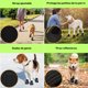 thumbnail image 3 of Fastpet Zapatos para Perro – Botitas Ajustables y Antiderrapantes para Tamaños Grandes y Chicos, Calzado Impermeable y Transpirable para Caminar, Senderismo y Uso Diario, Botas Cómodas y Ligeras, 3 of 6