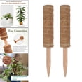 thumbnail image 1 of 2pcs  Pole Plantas En Macetas Extensión Varillas De Soporte De Escalada 40cm CUTICAT  Plantas trepadoras, 1 of 8