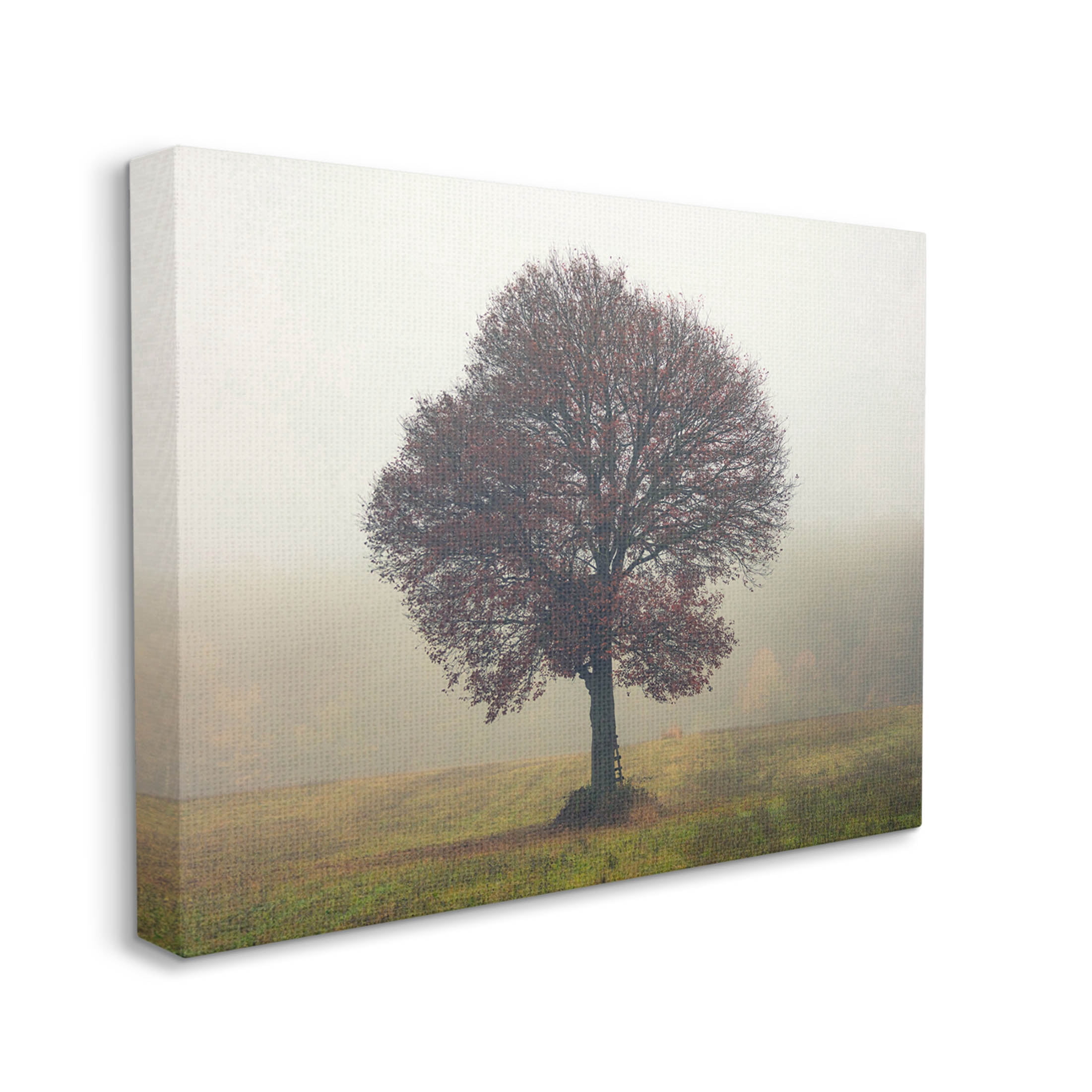 Stupell Industries Lone Tree Rural Grassland Photograph Gallery Wrapped Canvas Print Wall Art, Design by Igor Vitomirov