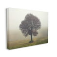 thumbnail image 3 of Stupell Industries Lone Tree Rural Grassland Photograph Gallery Wrapped Canvas Print Wall Art, Design by Igor Vitomirov, 3 of 7