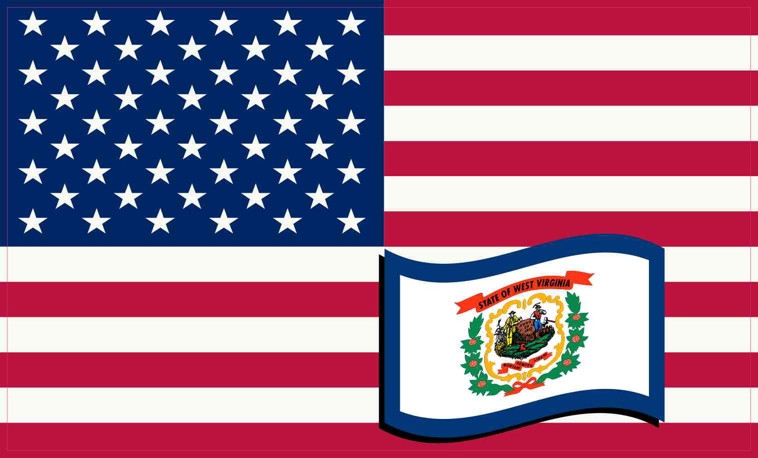 WEST VIRGINIA STATE FLAG USA AMERICAN AMERICA U.S.A. 
