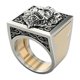 thumbnail image 1 of Anillos de Combinación para Hombre, Vintage, Joyería de , Anillos Vikingos Punk, s Dorado + Plata, 1 of 6