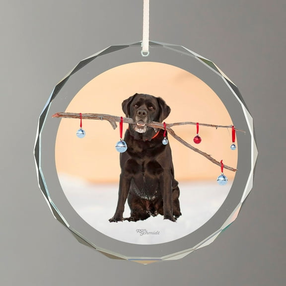 Nick - Black Lab
