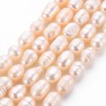 thumbnail image 2 of Natural Cultured Freshwater Pearl Beads Strands Rice Seashell Color 7~9x6~7mm Hole: 0.5mm 22~23pcs/strand 7.09''(18cm), 2 of 6