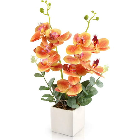 RERXN Artificial Orchid Flowers with Vase  Fake Orchid Arrangement 2 Heads PU Potted Silk Phalaenopsis Flower Arrangement for Home Table Party Decor (Orange) RERXN Artificial Orchid Flowers with Vase  Fake Orchid Arrangement 2 Heads PU Potted Silk Phalaenopsis Flower Arrangement for Home Table Party Decor (Orange)