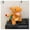 Fire-Breathing Dragon, variant on New Cute Cartoon Elf Series Yellow Lightning Mouse Plush Toy Backpack Birthday Gift
