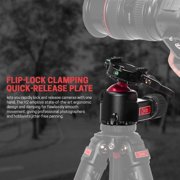 Everest H2 Ball Head with Arca-Type Quick Release and Lever-Release Clamp - 33Lbs capacity