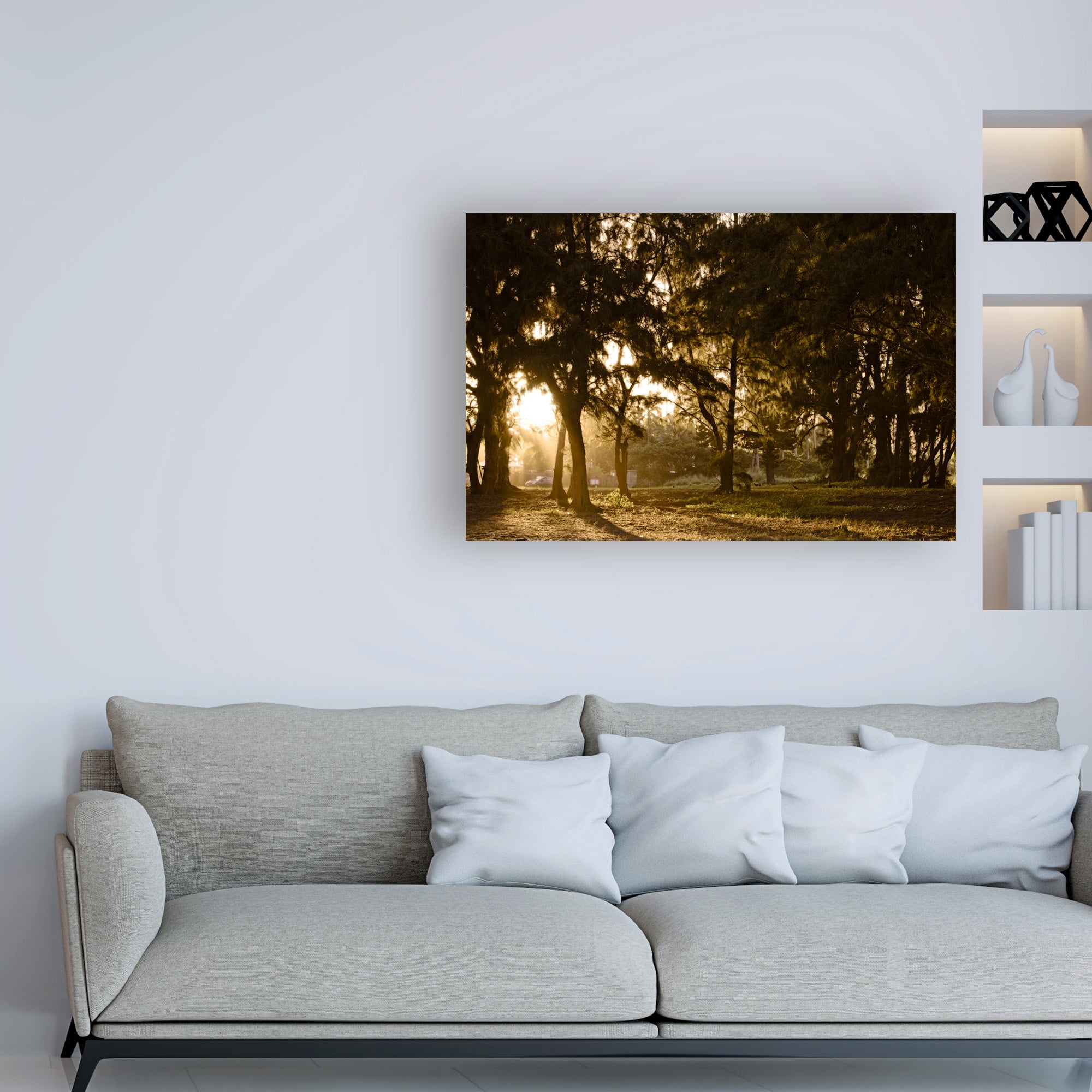 Trademark Fine Art 'Daybreak Tree Coverage' Canvas Art by Chuck Burdick