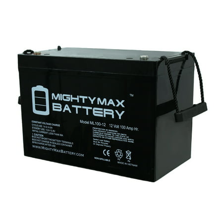 12V 100Ah Battery for Minn Kota Trolling Motor Power (Best 12 Volt Trolling Motor Battery)