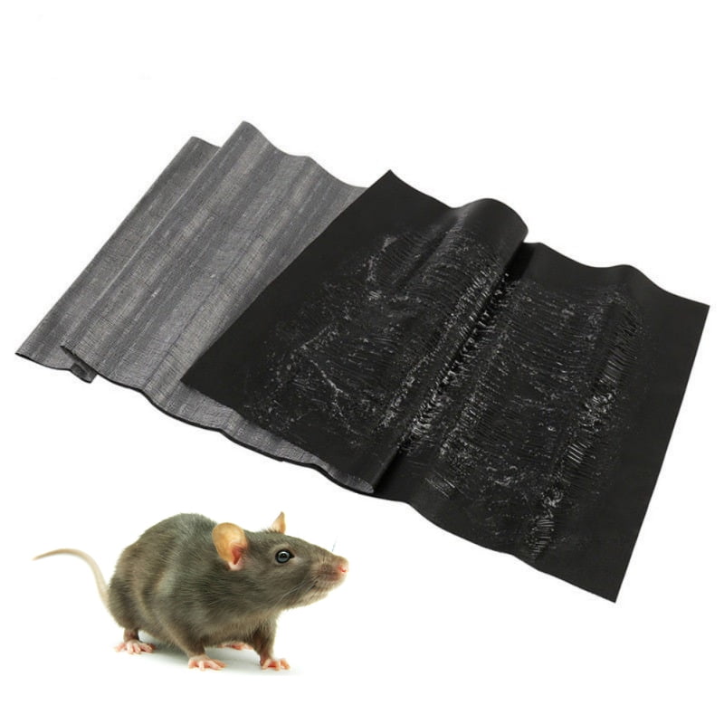 5 Pack Mouse Glue Boards Sticky Traps Rat Glue Pads Catch Mouse Indoor/Outdoor 