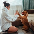 thumbnail image 5 of Purina DentaLife Chews Dental Dog Treats - Small/Medium Snacks for Pups 20-40 lbs (25 Count) | MerlinsMart Zine + Rope Toy, 5 of 10