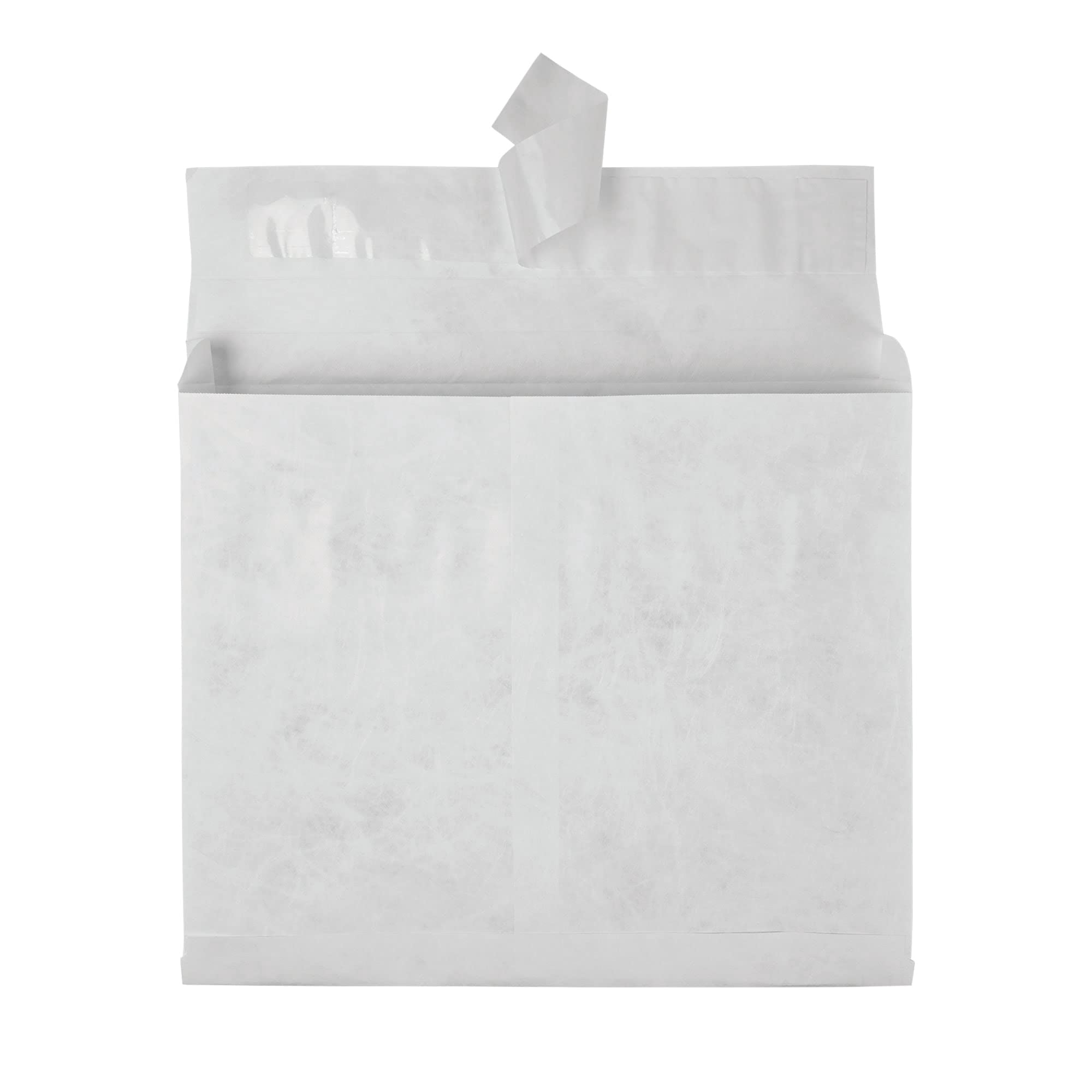 Quality Park® Tyvek® Expansion Envelopes, 10" x 13" x 2", 18 Lb, White, Carton Of 100