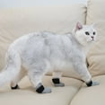 thumbnail image 4 of 4Pcs Cat Small Dog Nail Caps Claw Covers Shoes  Socks Anti-Scratch Pet Grooming Booties Bathing Shaving, 4 of 8