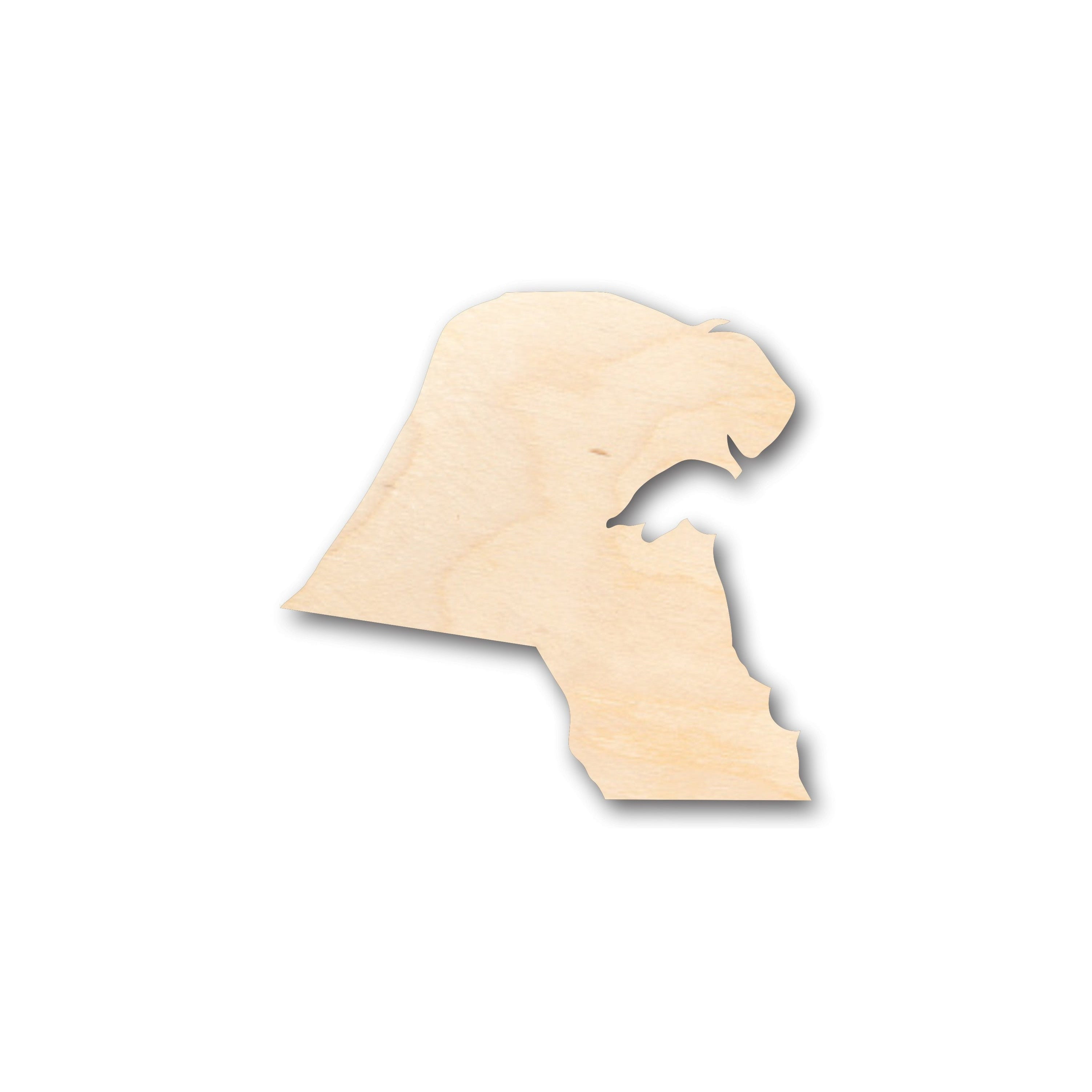 Unfinished Wood Kuwait Country Shape Craft up to 36" DIY 20" / 1/8