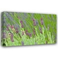 thumbnail image 1 of Dana Styber 18x13 Gallery Wrapped Canvas Wall Art Titled - Lavender Sway I, 1 of 4