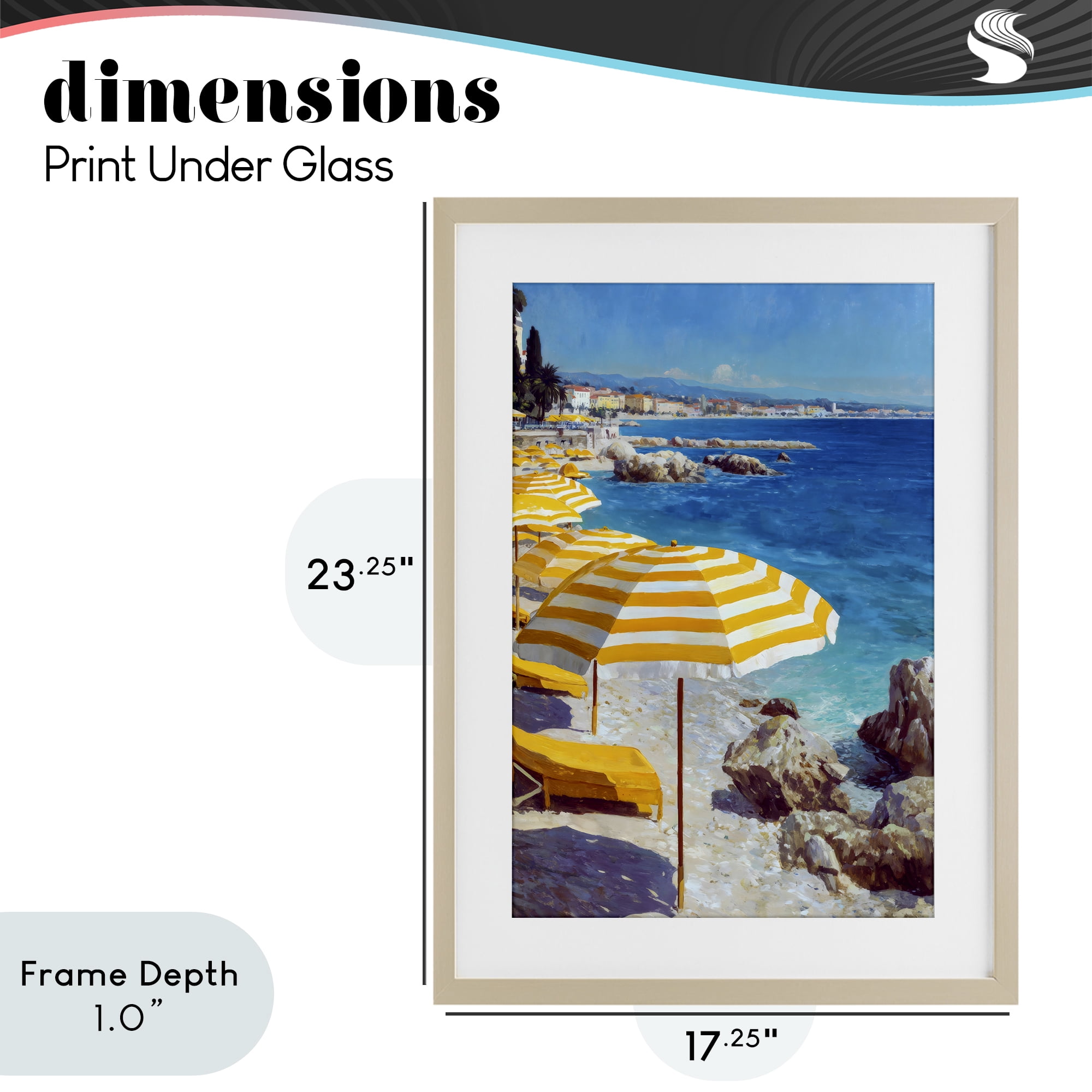 Stupell Industries Sunshine on the Shore Birch Framed Print Under Glass, design by Petal Prints Design