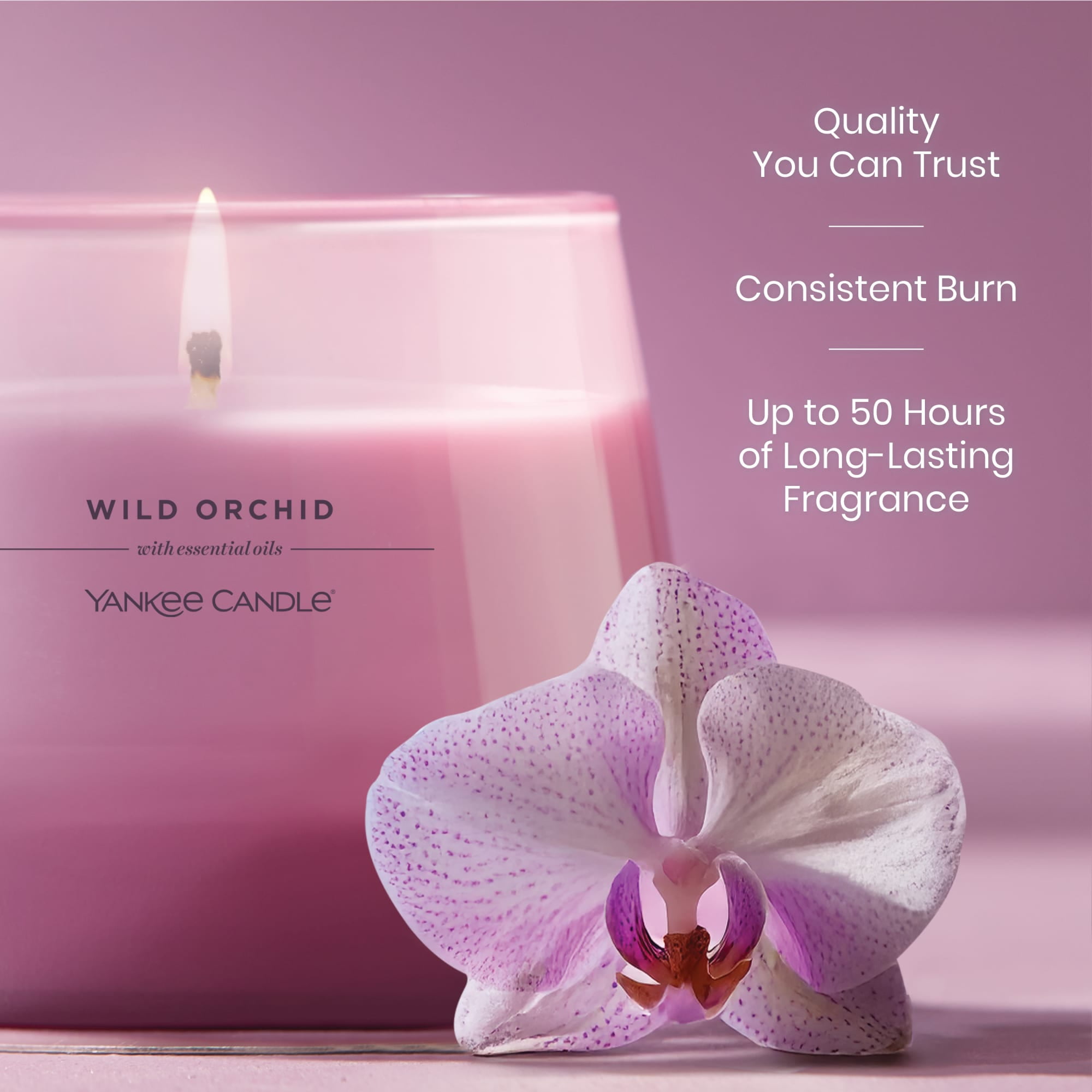 (4 pack) Yankee Candle Wild Orchid Studio Home Decor Scented Candles, 10 oz