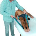 thumbnail image 4 of Transfer Nursing Sling, Mobility Assist Strap Lifting Mobility Safety Positioning Accessory with Padded Handle for Seniors for Home Black,Blue,Purple,Green, 4 of 7