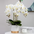 thumbnail image 3 of Flores artificiales de Phalaenopsis 37 pulgadas 6 piezas orquídea decoración hogar blanco MENGJIAQI, 3 of 6
