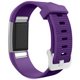 thumbnail image 4 of Para Charge 2 Reemplazo Reloj Inteligente Bandas Correa Pulsera Pulsera, 4 of 7